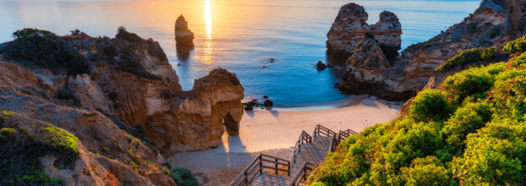 Black Friday 2020 website-1024x364px-masthead